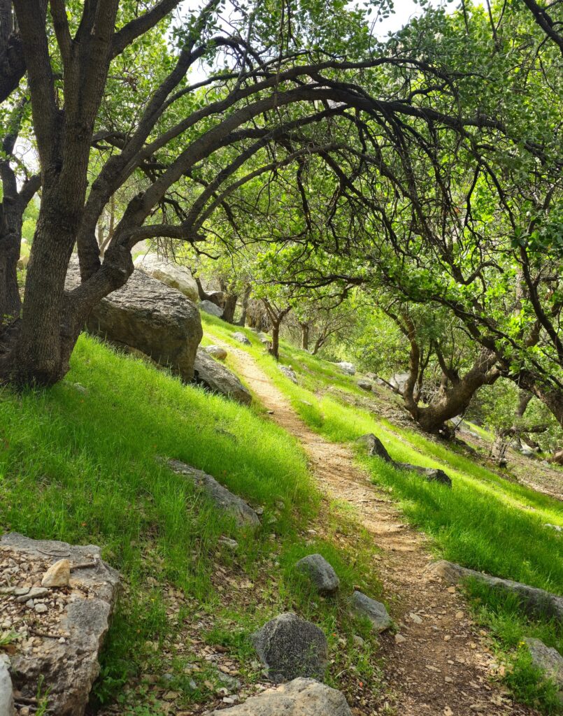 کوهپیمایی آبشار دم اسبی
