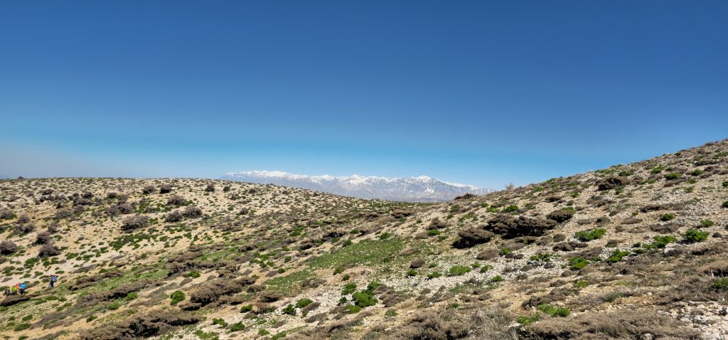 تامر 11 اردیبهشت