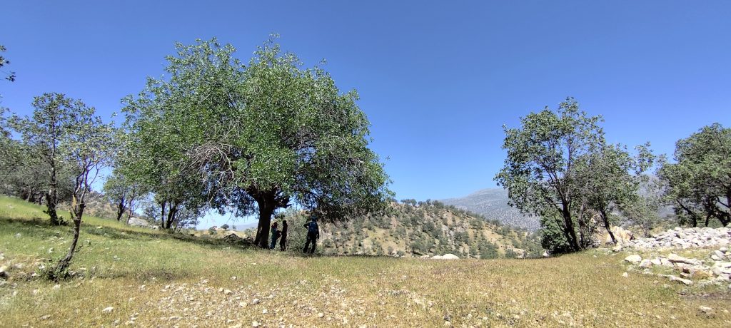 تنگ بهاره 25 اردیبهشت