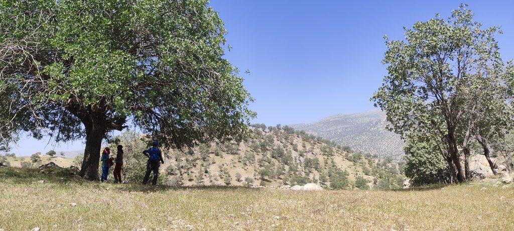 تنگ بهاره 25 اردیبهشت