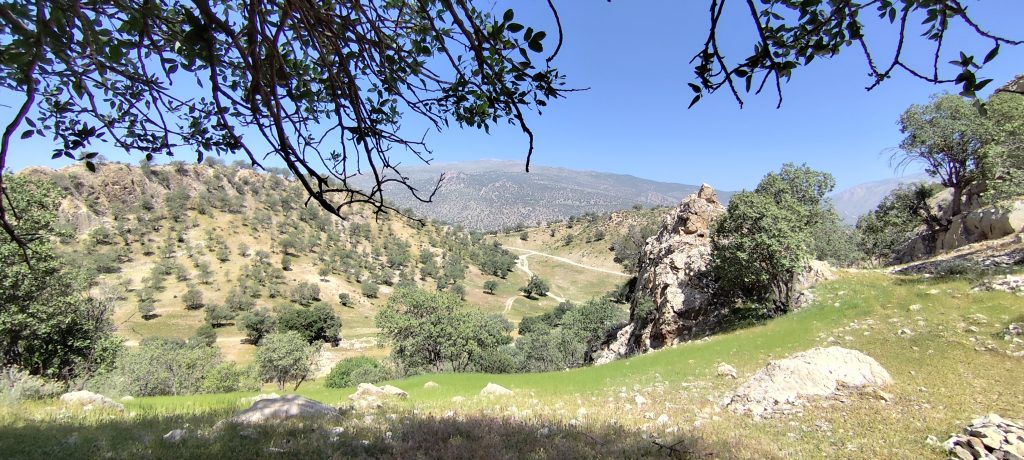 کوهپیمایی تنگ بهاره
