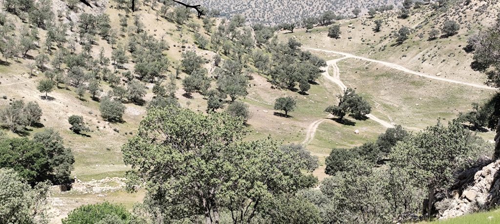 تنگ بهاره 25 اردیبهشت