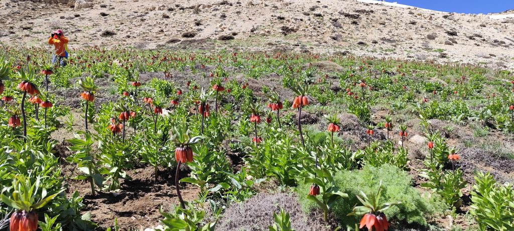 تامر 11 اردیبهشت