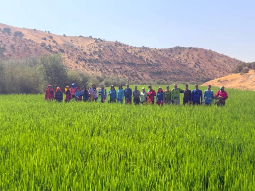 تنگ اردشیری 2