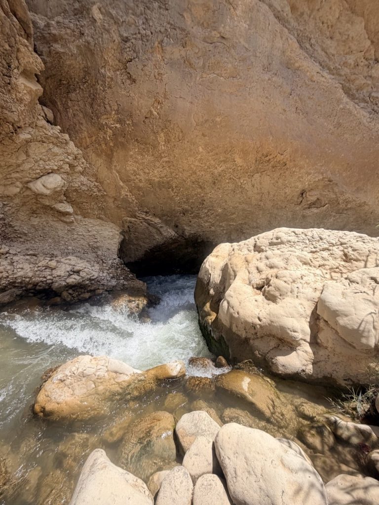 تنگ اردشیری 5
