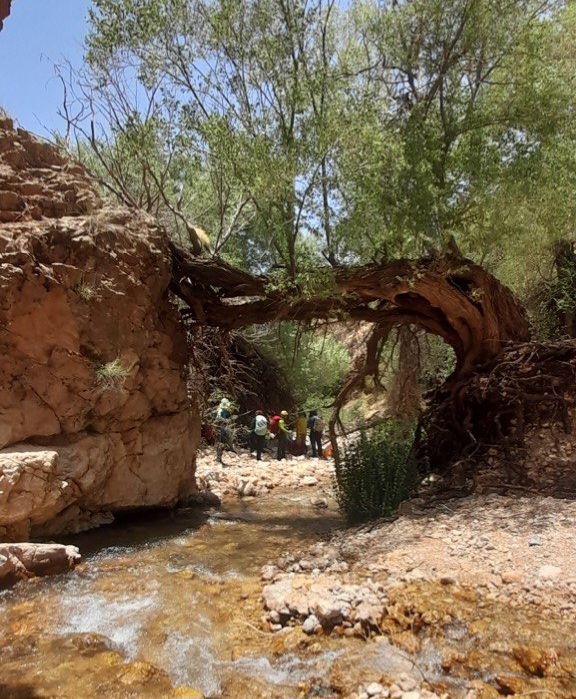 تنگ سرخ1