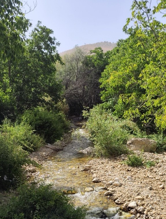تنگ سرخ2
