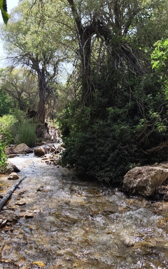 تنگ سرخ3