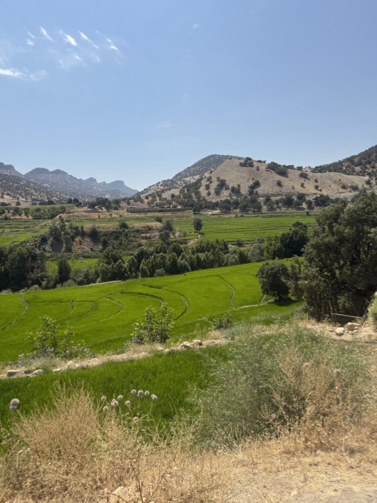 تنگ چیتاوه 1